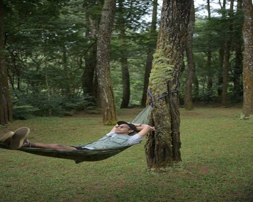 Seseorang sedang beristirahat dengan tenang